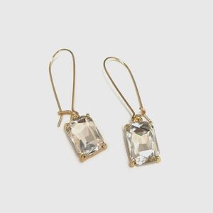 Elegant Gold and Silver Drop Earrings